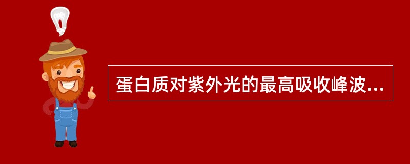 蛋白质对紫外光的最高吸收峰波长为A、240nmB、280nmC、320nmD、3