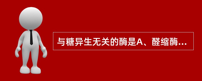 与糖异生无关的酶是A、醛缩酶B、烯酸化酶C、果糖双磷酸酶£­1D、丙酮酸激酶E、