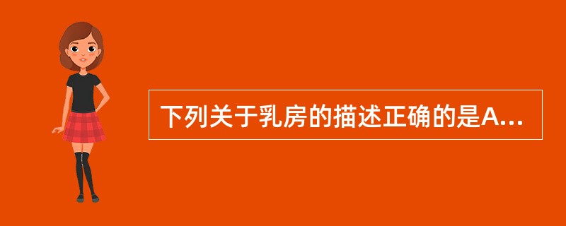 下列关于乳房的描述正确的是A、成年女子的乳房呈半球形B、位于胸大肌和胸部深筋膜表