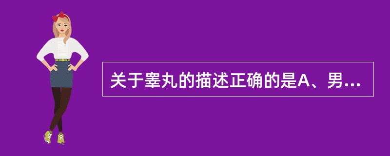 关于睾丸的描述正确的是A、男性生殖腺B、位于阴囊内,左右各一C、表面光滑,呈白色