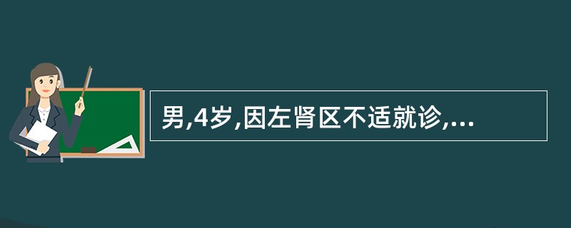 男,4岁,因左肾区不适就诊,无外伤史,无发热,左腹部可扪及肿块。根据其超声检查如