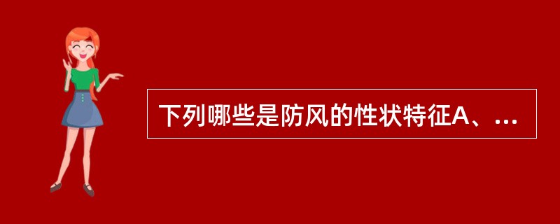 下列哪些是防风的性状特征A、根圆柱形B、根头部是“蚯蚓头”“扫把头”C、体轻、质