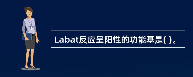 Labat反应呈阳性的功能基是( )。