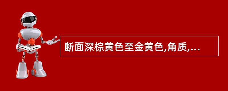 断面深棕黄色至金黄色,角质,维管束小点散在的药材为( )。