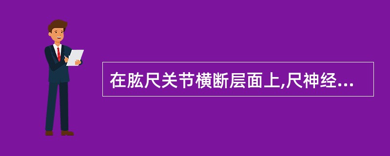 在肱尺关节横断层面上,尺神经居肱骨内上髁A、前方B、后方C、内侧D、外侧E、上方