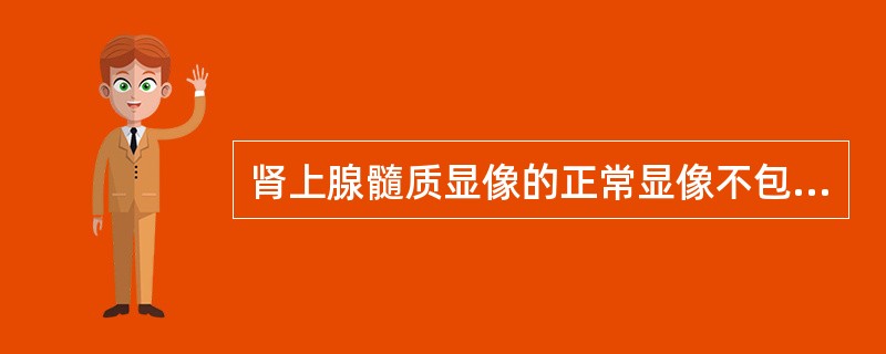 肾上腺髓质显像的正常显像不包括A、绝大多数的肾上腺髓质不显像B、双侧肾上腺大致对