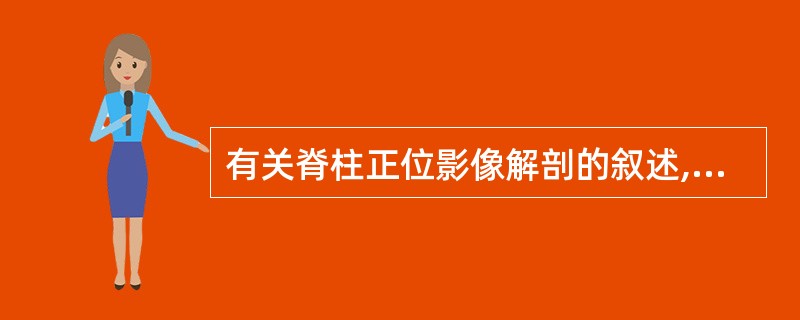 有关脊柱正位影像解剖的叙述,错误的是A、椎体呈长方形,骨皮质密度均匀B、棘突里水