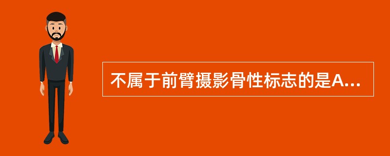 不属于前臂摄影骨性标志的是A、腕豆骨B、髂前上棘C、桡骨茎突D、尺骨茎突E、桡骨