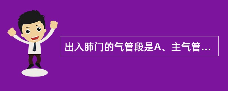 出入肺门的气管段是A、主气管B、左右支气管C、肺叶支气管D、肺段支气管E、亚段支