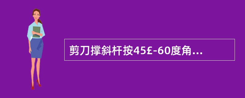 剪刀撑斜杆按45£­60度角可跨( )立杆。