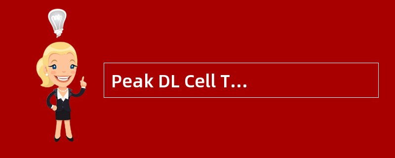 Peak DL Cell Throughput显示小区在应用层能够达到的下行峰值