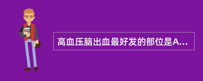 高血压脑出血最好发的部位是A、延脑B、小脑C、脑室D、脑桥E、基底节壳部