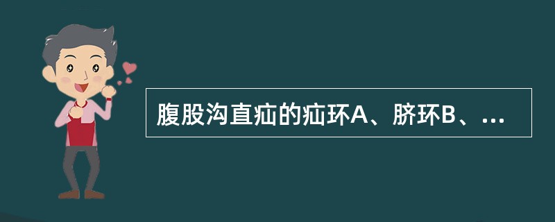 腹股沟直疝的疝环A、脐环B、内环C、外环D、股环E、腹股沟三角