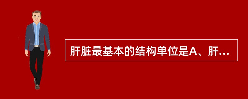 肝脏最基本的结构单位是A、肝细胞素B、肝叶C、肝小叶D、肝窦E、肝段