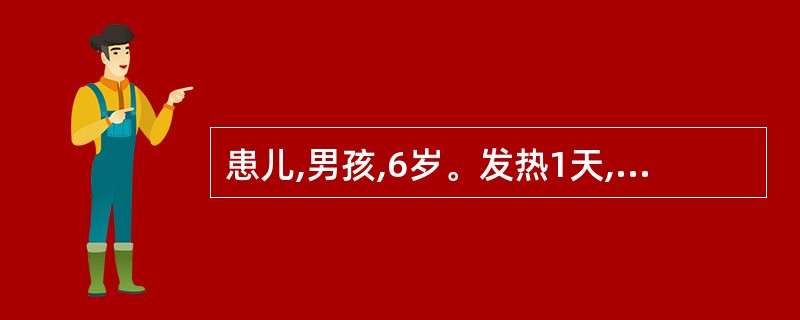 患儿,男孩,6岁。发热1天,皮疹半天。患儿昨天开始突发高热,伴咽痛,口服退热药效