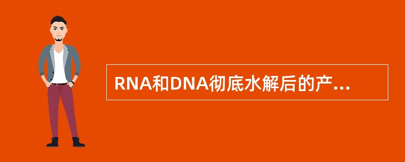 RNA和DNA彻底水解后的产物是()A、戊糖相同,碱基不同B、戊糖不同,碱基相同