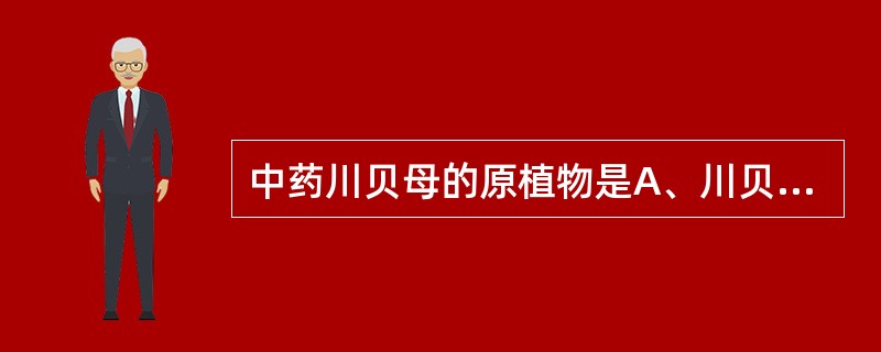 中药川贝母的原植物是A、川贝母B、暗紫贝母C、甘肃贝母D、梭砂贝母E、浙贝母 -