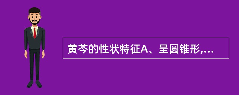 黄芩的性状特征A、呈圆锥形,扭曲B、表面棕黄色,有扭曲的纵皱纹C、质硬脆,易折断