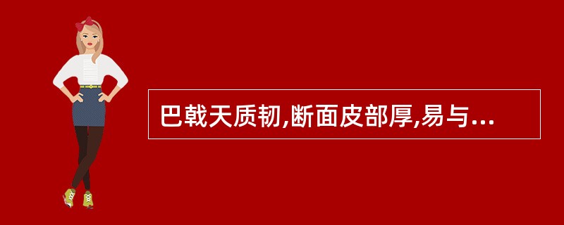 巴戟天质韧,断面皮部厚,易与木部剥离,呈现( )。A、棕黄色B、红色C、紫色或淡