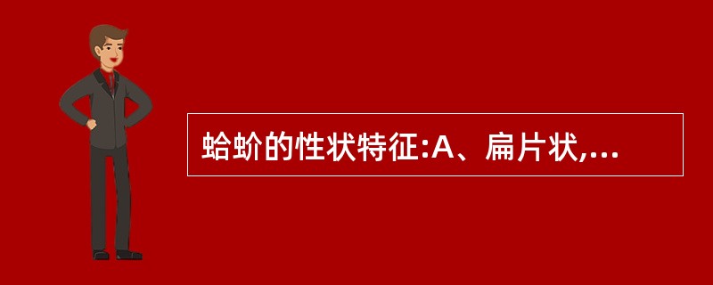 蛤蚧的性状特征:A、扁片状,“头大眼大,满口细牙”B、背部黑底白点C、四足均具8 蛤蚧的性状特征:A、扁片状,“头大眼大,满口细牙”B、背部黑底白点C、四足均具8