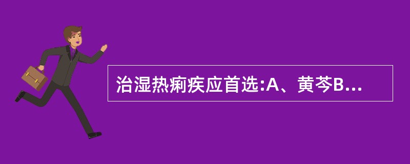 治湿热痢疾应首选:A、黄芩B、黄柏C、马齿苋D、龙胆草E、黄连
