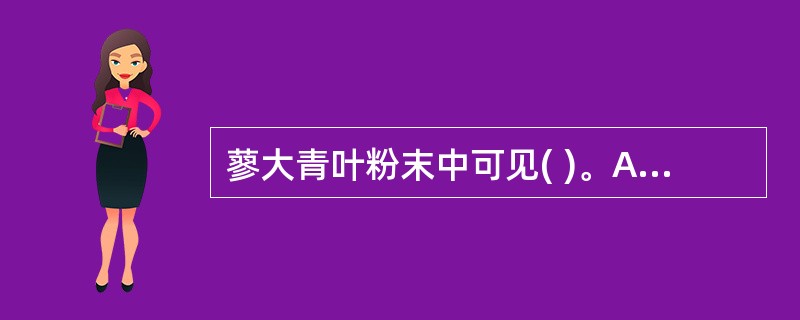 蓼大青叶粉末中可见( )。A、气孔多为平轴式,非腺毛多列性,有草酸钙簇晶B、气孔