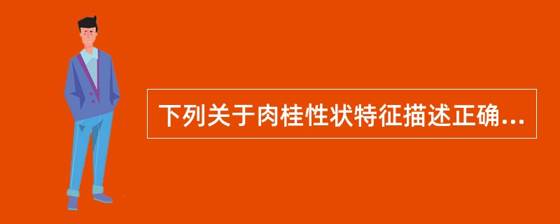 下列关于肉桂性状特征描述正确的是A、呈槽状,卷筒状B、外表面可见地衣斑C、内表面