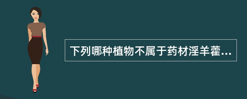 下列哪种植物不属于药材淫羊藿的原植物A、淫羊藿B、箭叶淫羊藿C、柔毛淫羊藿D、朝