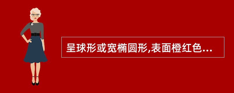 呈球形或宽椭圆形,表面橙红色或浅棕色,具焦糖气的药材是A、玄参B、陈皮C、槟榔D