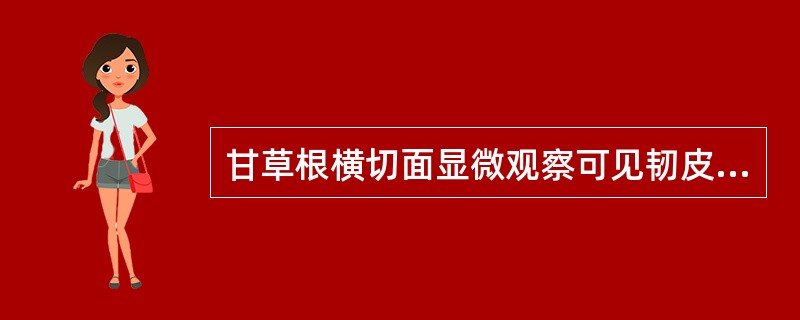 甘草根横切面显微观察可见韧皮射线常存在A、石细胞,束间形成层多角形B、石细胞,束