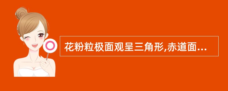 花粉粒极面观呈三角形,赤道面观双凸镜形的药材是A、金银花B、红花C、丁香D、洋金