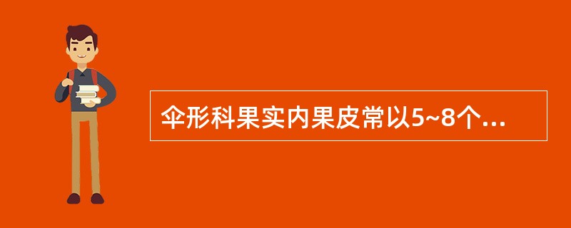 伞形科果实内果皮常以5~8个狭长的薄壁细胞相互并列为一群,各群以斜角联合呈镶嵌状