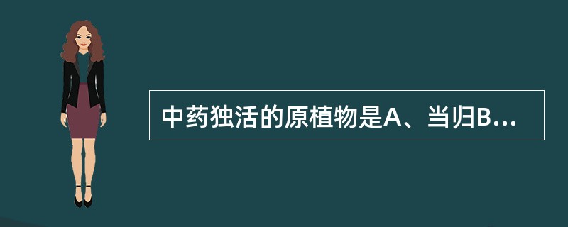 中药独活的原植物是A、当归B、独活C、毛当归D、川独活E、重齿毛当归