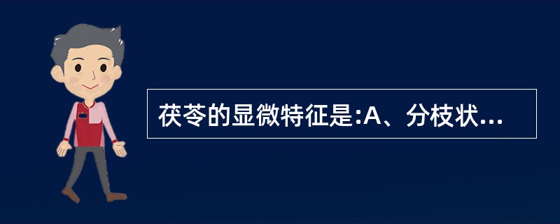 茯苓的显微特征是:A、分枝状团块B、菌丝C、淀粉粒D、草酸钙结晶E、孢子