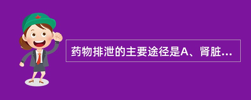 药物排泄的主要途径是A、肾脏排泄B、唾液排泄C、胆汁排泄D、乳汁排泄E、呼气排泄