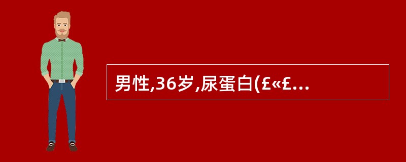 男性,36岁,尿蛋白(£«£«),尿红细胞10~20个£¯HP,红细胞管型0~1