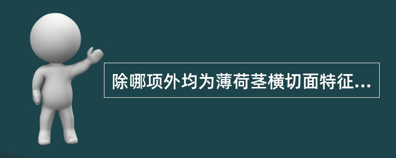 除哪项外均为薄荷茎横切面特征A、表皮外被角质层,有腺毛,腺鳞和非腺毛B、皮层在四