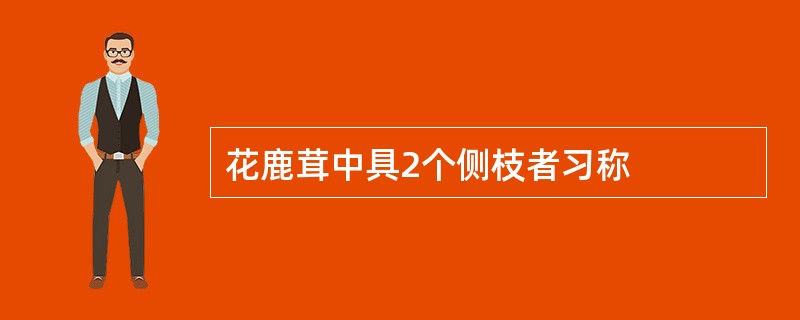 花鹿茸中具2个侧枝者习称