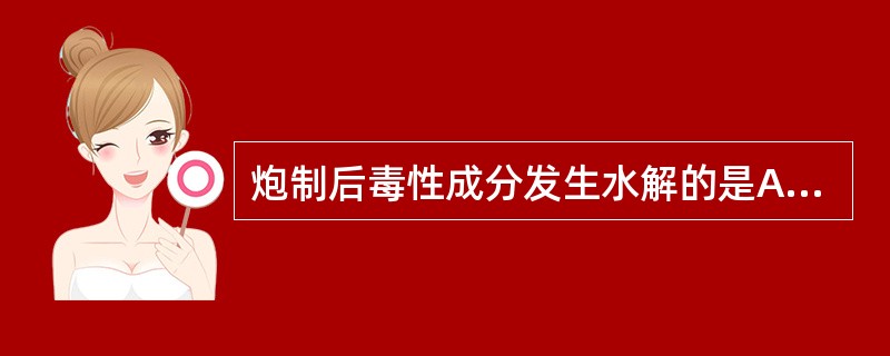 炮制后毒性成分发生水解的是A、水煮川乌B、巴豆制霜C、米炒红娘子D、清蒸黄芩E、