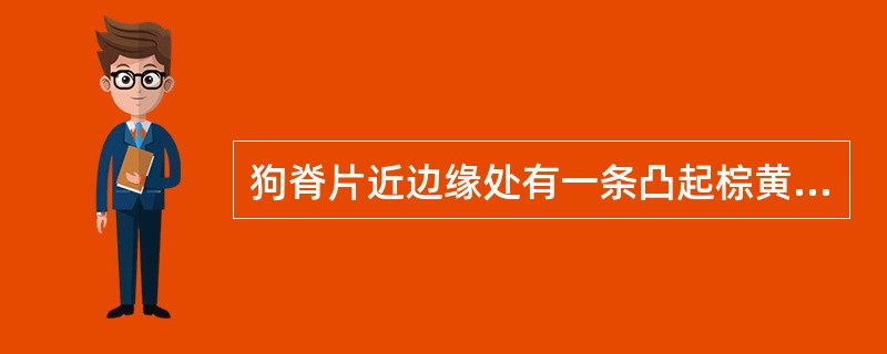 狗脊片近边缘处有一条凸起棕黄色环纹是A、石细胞环带B、形成层C、纤维层D、木质部