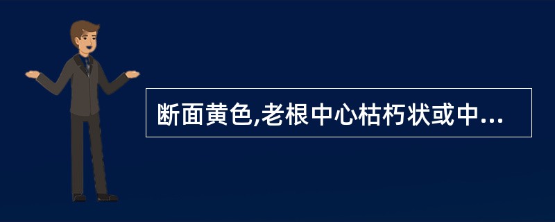 断面黄色,老根中心枯朽状或中空,味苦的中药材是A、大黄B、黄芩C、黄连D、黄芪E