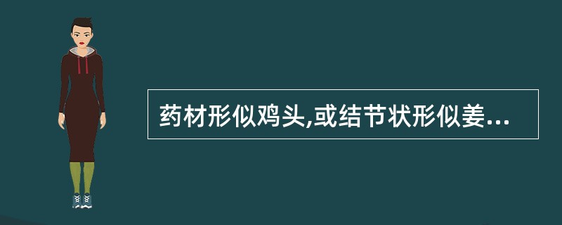 药材形似鸡头,或结节状形似姜,或肥厚状,或串球状的是