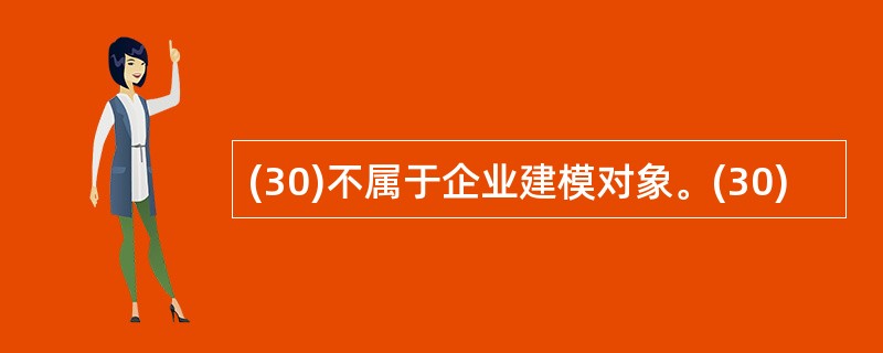 (30)不属于企业建模对象。(30)