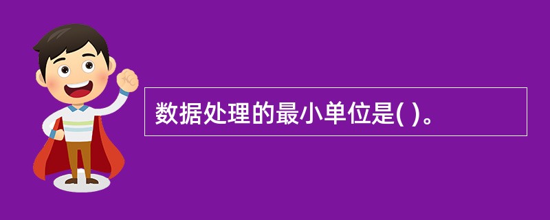 数据处理的最小单位是( )。