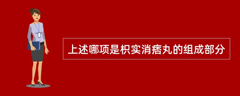 上述哪项是枳实消痞丸的组成部分