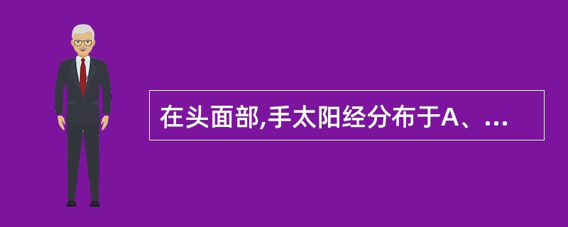 在头面部,手太阳经分布于A、头项B、头后C、侧头部D、面颊部E、额部