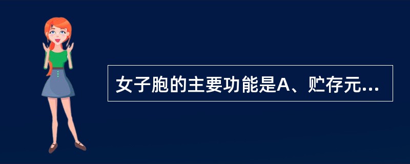 女子胞的主要功能是A、贮存元气B、主持月经C、产生天癸D、主藏血E、主生殖 -