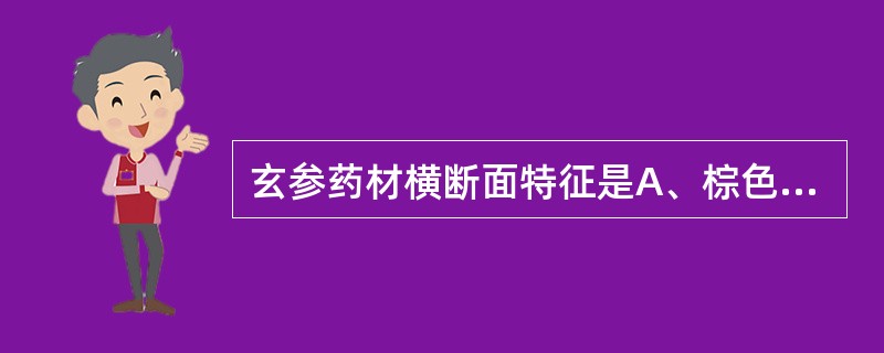 玄参药材横断面特征是A、棕色,粉性B、黄色,角质性C、黑色,粉性D、黑色,微有光