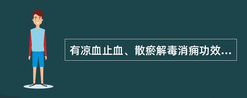 有凉血止血、散瘀解毒消痈功效的药物是