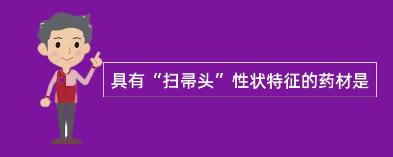 具有“扫帚头”性状特征的药材是